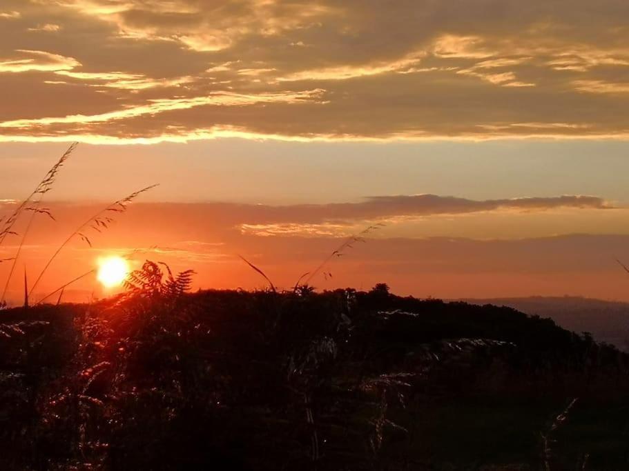 Converted Cattle Barn Overlooking Strangford Lough Newtownards Bagian luar foto